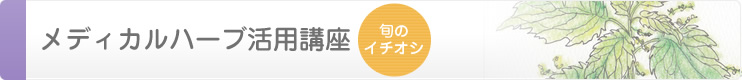 メディカルハーブ活用講座